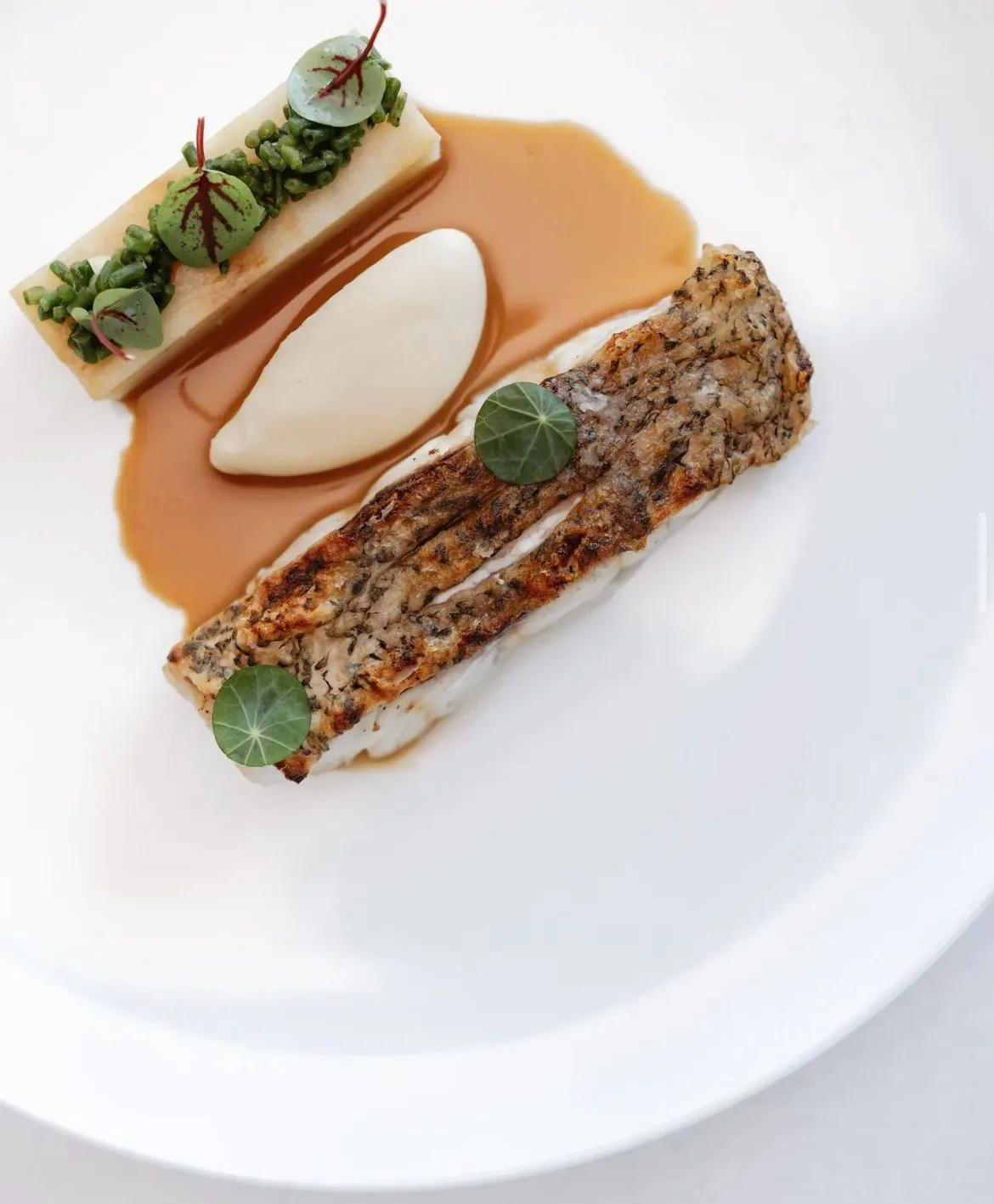 Burrata & İncir